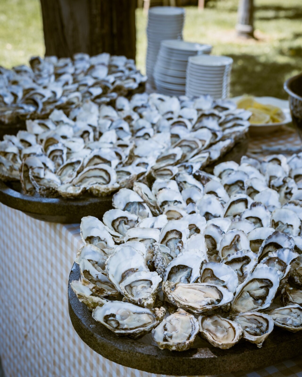 catering para bodas | Bodas en Julio